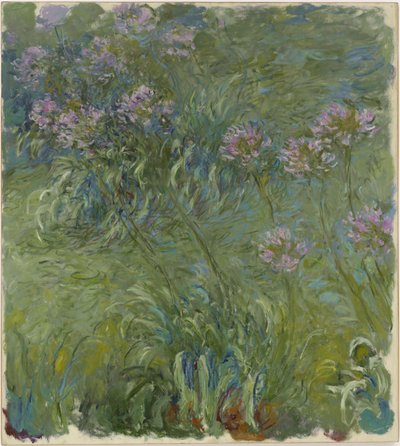 Agapanthus by Claude Monet